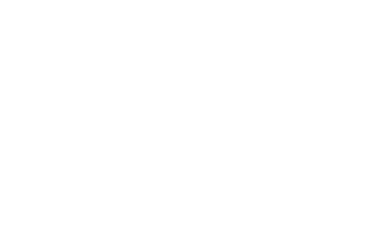 THE BOARD